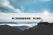 拜仁训练短袖紫色绿色？ 拜仁袖标？