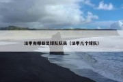 法甲有哪些足球队队员（法甲几个球队）
