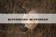 辅仁中学足球队03队长（辅仁中学足球怎么样）