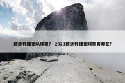 欧洲杯捷克队球星？ 2021欧洲杯捷克球星有哪些？