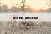 足球访谈类？ 足球采访名场面？