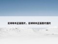 足球球衣正面照片，足球球衣正面照片图片