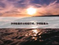 沙特联赛积分榜排行榜，沙特联赛ds