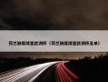 荷兰缺席球星欧洲杯（荷兰缺席球星欧洲杯名单）