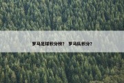 罗马足球积分榜？ 罗马队积分？