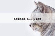 思百图切尔西，buttero 切尔西