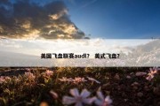 美国飞盘联赛audl？ 美式飞盘？