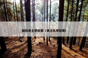 回放勇士季后赛（勇士队季后赛）