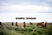 西布朗阵容（西布朗战绩）