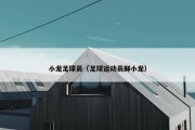 小龙足球员（足球运动员鲜小龙）