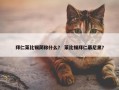 拜仁莱比锡简称什么？ 莱比锡拜仁慕尼黑？
