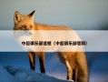 中超俱乐部遗憾（中超俱乐部官网）