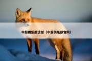 中超俱乐部遗憾（中超俱乐部官网）