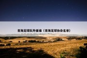 青海足球队外援谁（青海足球协会名单）