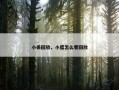 小丢回放，小度怎么看回放