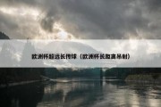 欧洲杯超远长传球（欧洲杯长距离吊射）