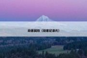 幼崽回放（幼崽纪录片）
