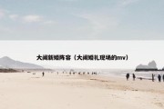 大闹新婚阵容（大闹婚礼现场的mv）