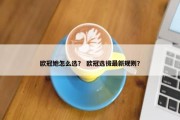 欧冠她怎么选？ 欧冠选拔最新规则？