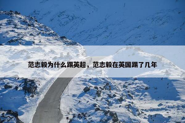 范志毅为什么踢英超，范志毅在英国踢了几年