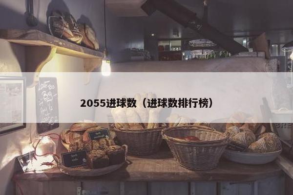2055进球数（进球数排行榜）