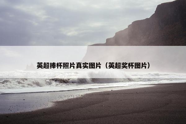 英超捧杯照片真实图片（英超奖杯图片）