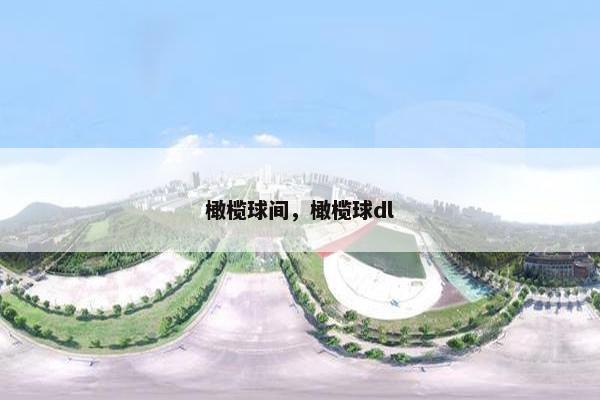 橄榄球间，橄榄球dl