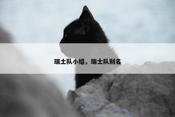 瑞土队小组，瑞士队别名