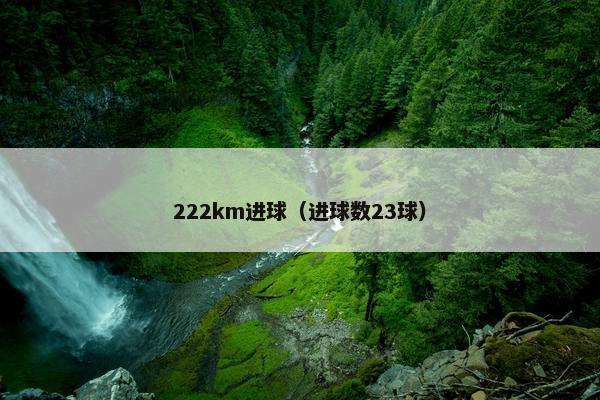 222km进球（进球数23球）