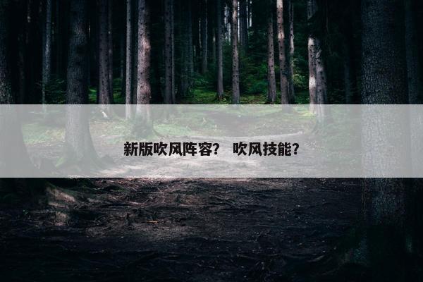 新版吹风阵容？ 吹风技能？