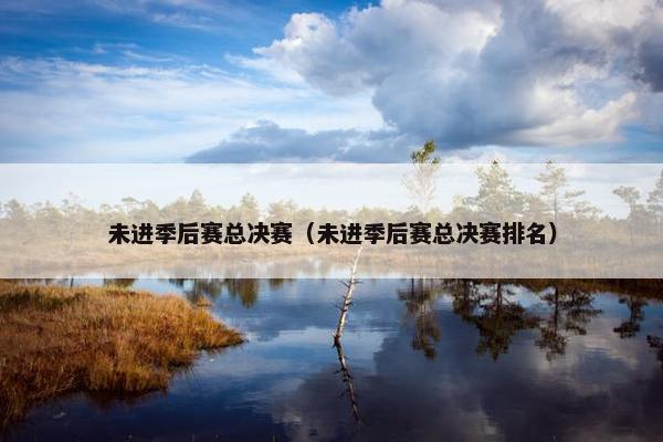 未进季后赛总决赛（未进季后赛总决赛排名）
