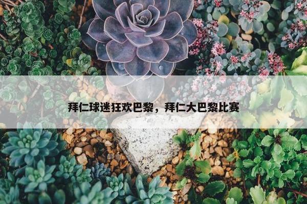 拜仁球迷狂欢巴黎，拜仁大巴黎比赛