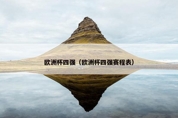 欧洲杯四强（欧洲杯四强赛程表）