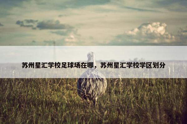 苏州星汇学校足球场在哪，苏州星汇学校学区划分