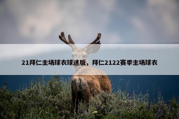 21拜仁主场球衣球迷版，拜仁2122赛季主场球衣