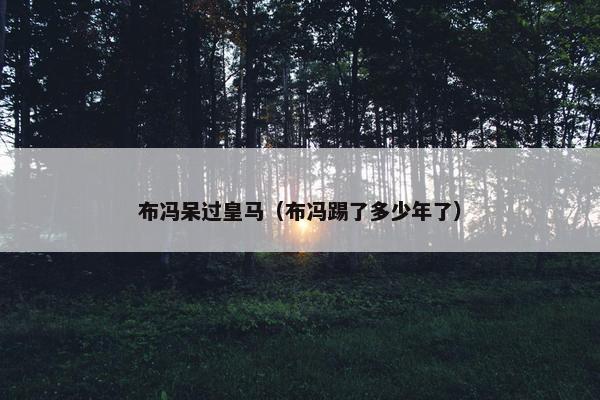 布冯呆过皇马（布冯踢了多少年了）