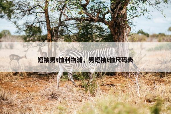 短袖男t恤利物浦，男短袖t恤尺码表