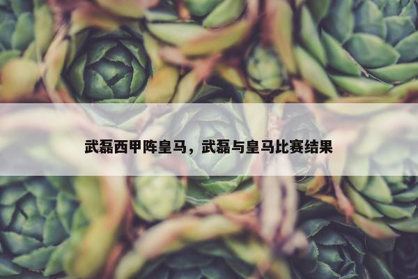 武磊西甲阵皇马，武磊与皇马比赛结果