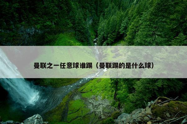 曼联之一任意球谁踢（曼联踢的是什么球）