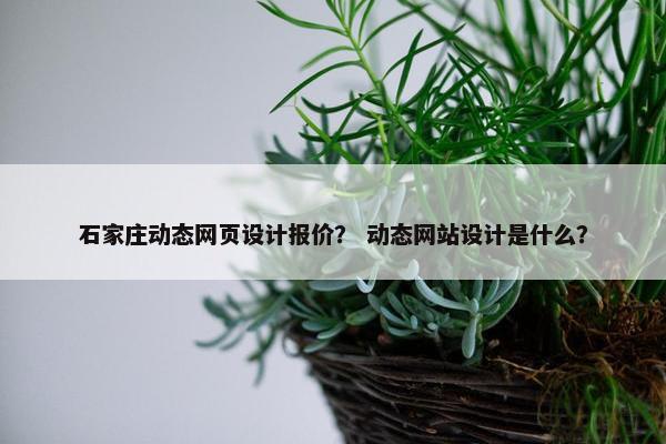 石家庄动态网页设计报价？ 动态网站设计是什么？