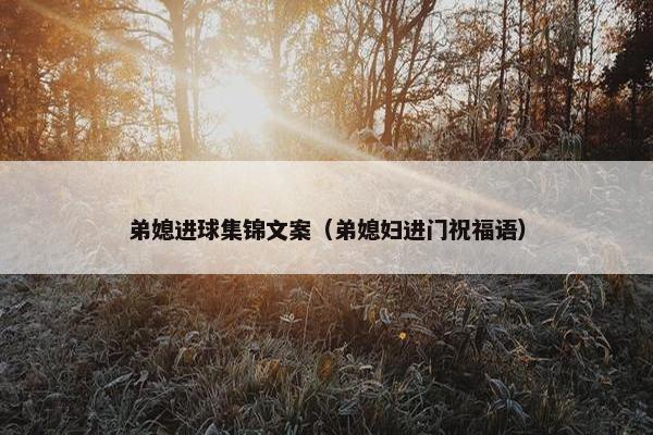 弟媳进球集锦文案（弟媳妇进门祝福语）