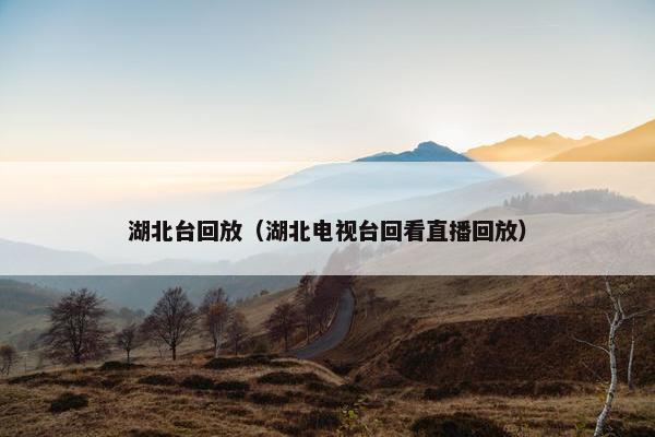 湖北台回放（湖北电视台回看直播回放）