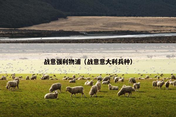 战意强利物浦（战意意大利兵种）