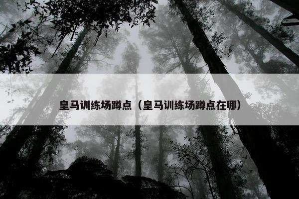 皇马训练场蹲点（皇马训练场蹲点在哪）