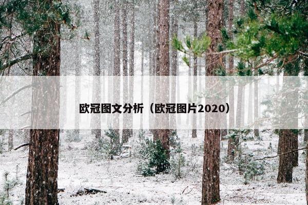 欧冠图文分析（欧冠图片2020）