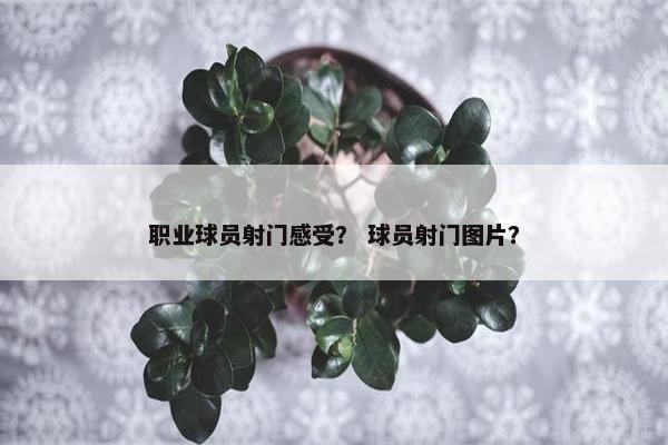 职业球员射门感受？ 球员射门图片？