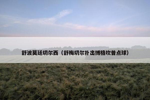 舒波莫廷切尔西（舒梅切尔扑出博格坎普点球）