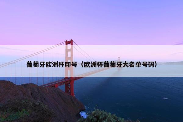葡萄牙欧洲杯印号（欧洲杯葡萄牙大名单号码）
