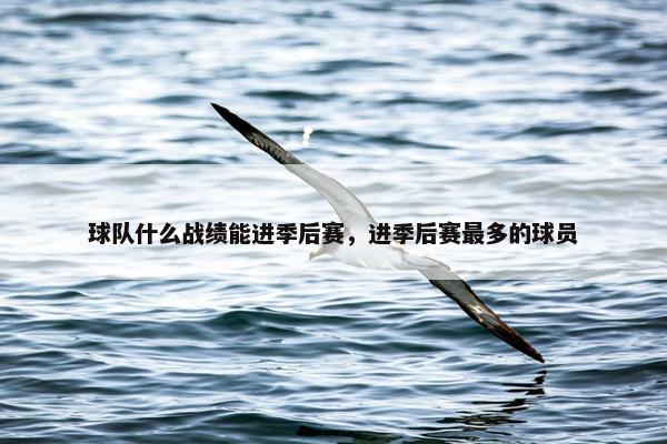 球队什么战绩能进季后赛，进季后赛最多的球员