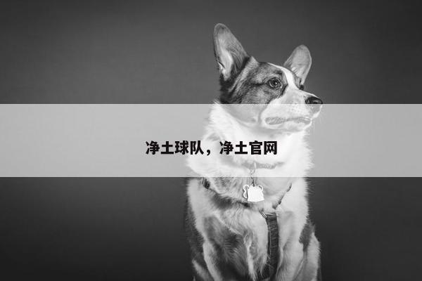 净土球队，净土官网